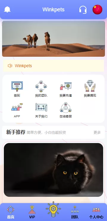 图片[3]-海外宠物领养投资理财系统/多语言支持/项目投资+会员等级/前端Vue全开源源码-海外源码社区