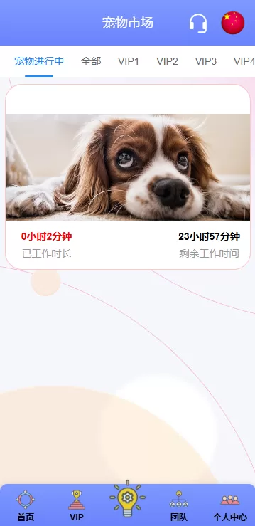 图片[7]-海外宠物领养投资理财系统/多语言支持/项目投资+会员等级/前端Vue全开源源码-海外源码社区