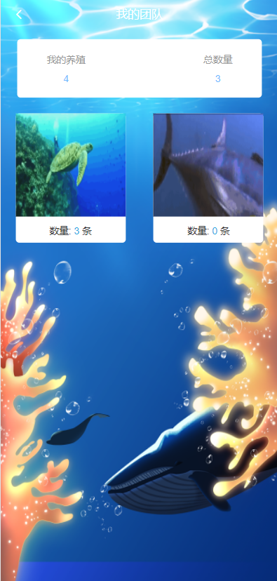 图片[5]-【USDT理财系统】USDT投资源码+虚拟币静态收益+区块链源码-海外源码社区