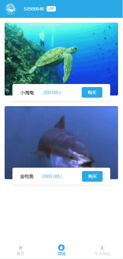 图片[2]-【USDT理财系统】USDT投资源码+虚拟币静态收益+区块链源码-海外源码社区