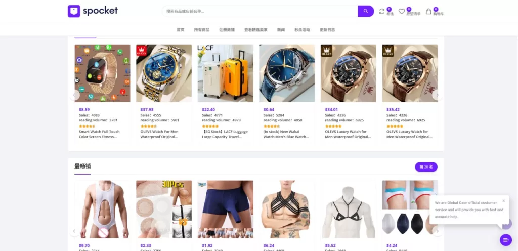 图片[9]-【PHP新版本多语言跨境电商商城】可TK,FB内嵌+封装可换logo增加了在线客服系统+增加POS定时下单新增防报毒处理-海外源码