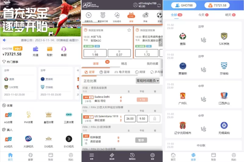 [二开版反波胆系统]反波娱乐综合系统+uinapp版反波胆系统 - 海外源码-海外源码