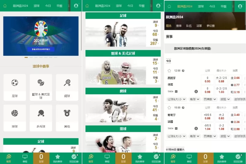 2024皇冠欧洲杯源码#多语言反波球盘信用盘源码#足球篮球体育盘 - 海外源码-海外源码