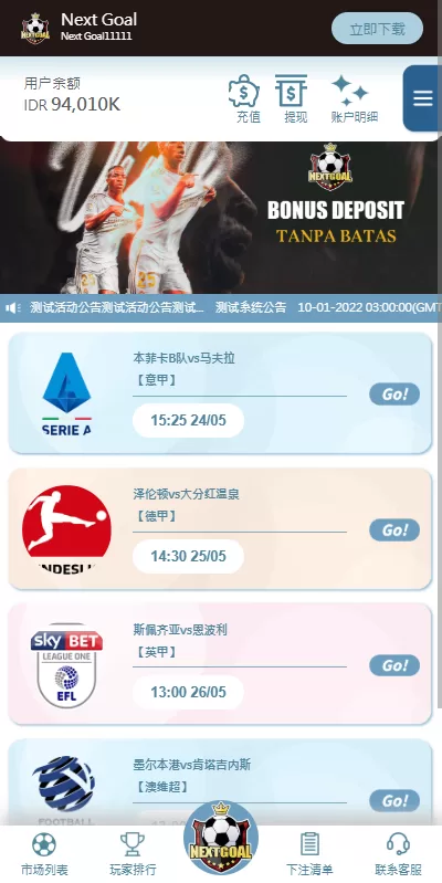 图片[9]-【PC自适应反波胆系统】球盘源码+多级分销+充值返点-海外源码